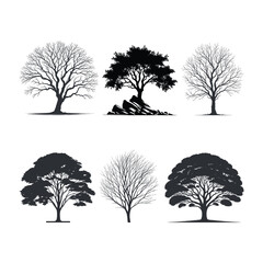 Obraz premium Elm Tree silhouette
