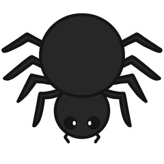 spider