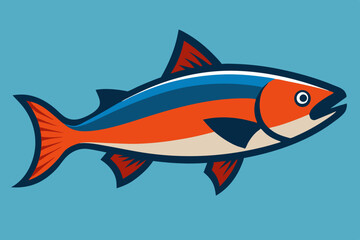 Salmon fish  vector art and illustration.