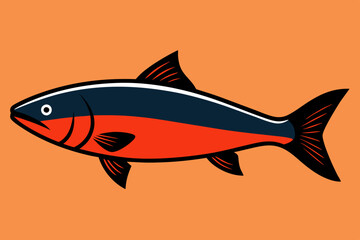 Salmon fish  vector art and illustration.