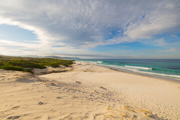 Panoramic views across white sandy Friendly Beaches in Tasmania, Australia