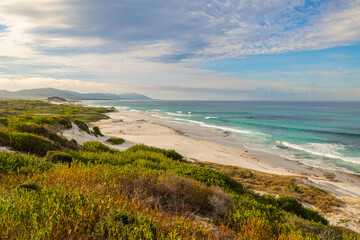 Panoramic views across white sandy Friendly Beaches in Tasmania, Australia