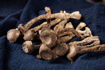 dried lyophyllum decastes on wooden table.