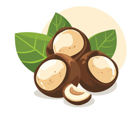 Vector illustration of macadamia nuts with green leaves isolated on white background.