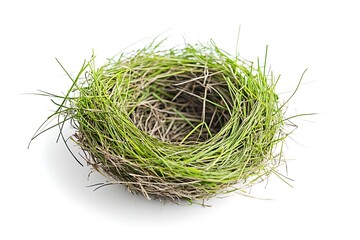 Obraz premium A bird's nest made of branches and blades of grass is placed on a white background.