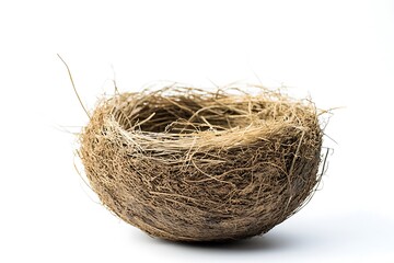 Obraz premium A bird's nest made of branches and blades of grass is placed on a white background.