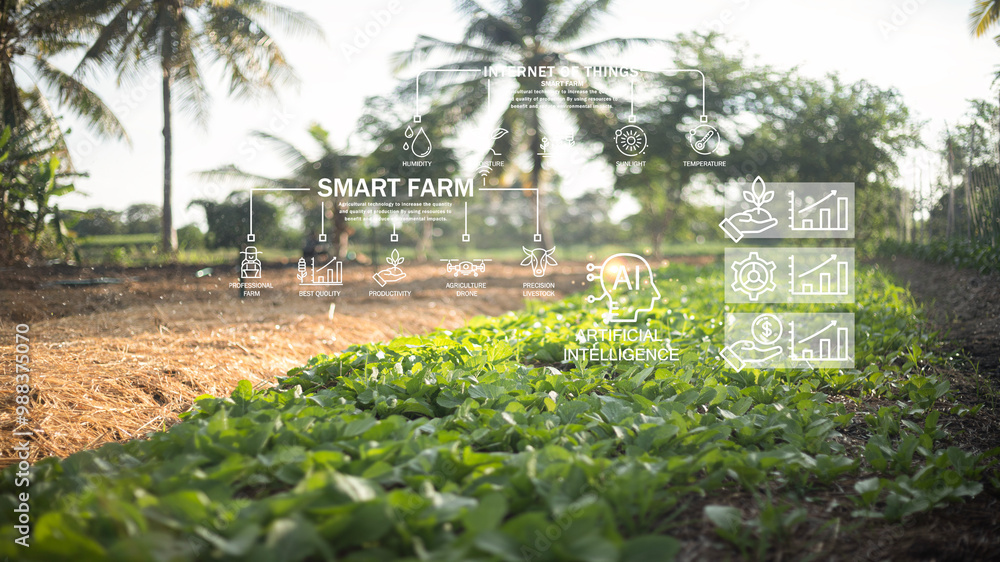 Poster the smart farm is displayed with a process diagram showing the steps of caring for a vegetable garde