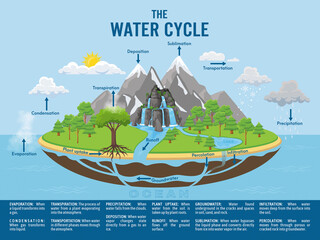 Water cycle infographic. Ecosystem concept. Water recycle, evaporation, condensation ecology diagram. Groundwater, water cycle. Hydrologic landscape. Geography school scheme. Vector illustration.