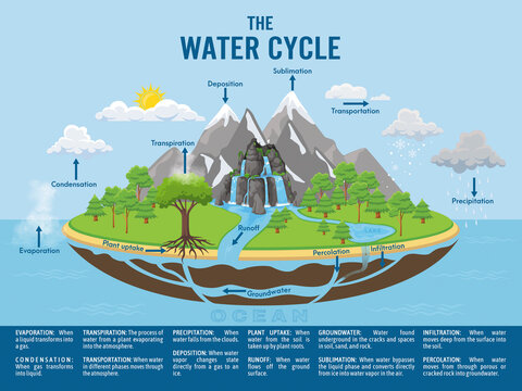 Water cycle infographic. Ecosystem concept. Water recycle, evaporation, condensation ecology diagram. Groundwater, water cycle. Hydrologic landscape. Geography school scheme. Vector illustration.