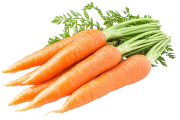 Bunch of carrots with leaves on transparent background