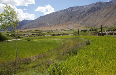Jalang village among Pamir mountains in the Gorno-Badakhshan region in Tajikistan