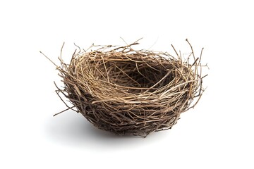 Obraz premium Empty bird nest isolated on white