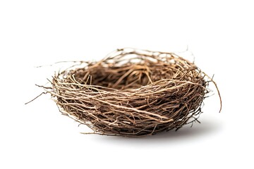 Obraz premium Empty bird nest isolated on white