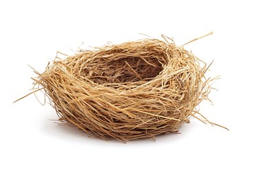 Obraz premium Empty bird nest isolated on white