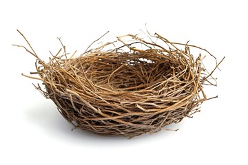 Obraz premium Bird nest isolated.