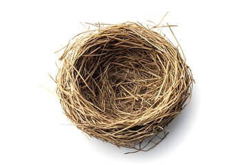 Obraz premium Bird nest isolated.