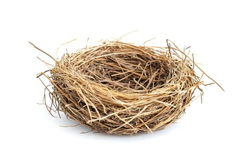 Obraz premium Bird nest isolated.