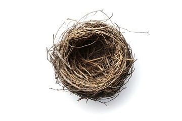 Obraz premium Bird nest isolated.