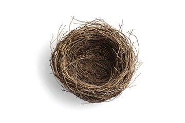 Obraz premium Bird nest isolated.