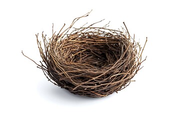 Obraz premium Bird nest isolated.