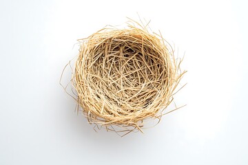 Obraz premium Horizontal shot of an Empty Bird's Nest on a White Background With Shadow.