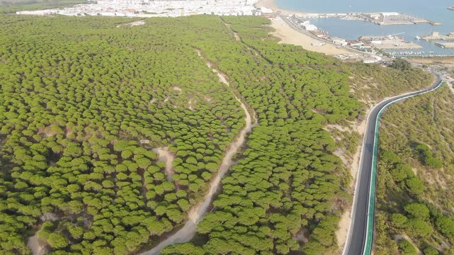 Aerial reveal of a white town in the coast of Spain and a pinewood forest.