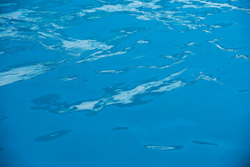 Fototapeta premium Blue pool water background. Blurred transparent clear calm water surface texture. Water waves in sunlight with copy space.