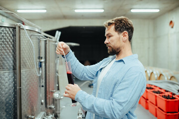 Fototapeta premium Winemaker standing in the wine cellar, controlling, testing wine sample.
