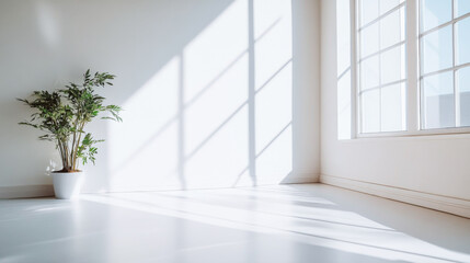 Fototapeta premium Bright and airy indoor space featuring a potted plant and natural light streaming through large windows during the day