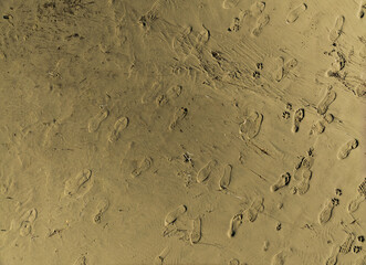 A wall with many footprints on it