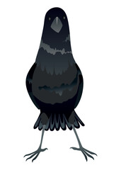 Raven. Silhouette Representing Bird Specie Captured in Moment of Flight and Resting