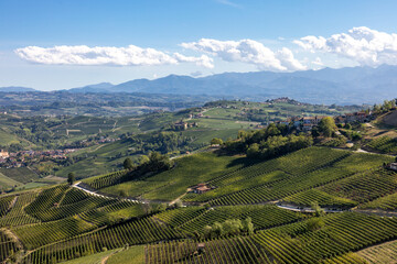 Fototapeta premium View of Langhe vineyards from La Morra, UNESCO Site, Piedmont, Italy