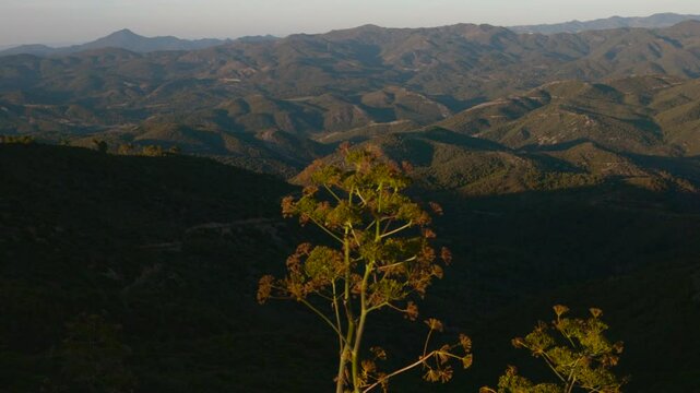 landscape in the morning