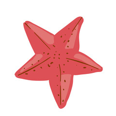 Fototapeta premium Starfish Element For Summer Illustration