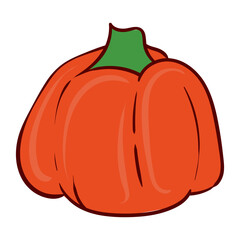 Red pumpkin. Autumn, harvest, pie, Halloween, carve a scary face, comfort food, latte, homemade, traditional, soup, vegetables, veggies, casserole, cooking, Vector illustration