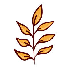 Yellow leaves on thin branch. Nature, autumn, fall, plant, gardening, foliage, fresh, botany, tree, herbal, organic, growth, herbarium, environment, leaf veins, simple design, eco friendly. Vector