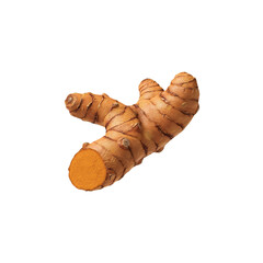 turmeric rhizome on transparent background. Can be used as graphic design