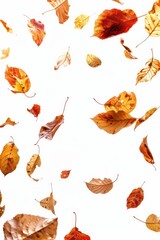 Fototapeta premium A bunch of leaves blowing in the wind