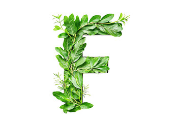 Botanical Letter F with Green Leaves and Foliage, Nature-Inspired Typography and Eco-Friendly Design on Transparent Background, Perfect for Environmental Themes