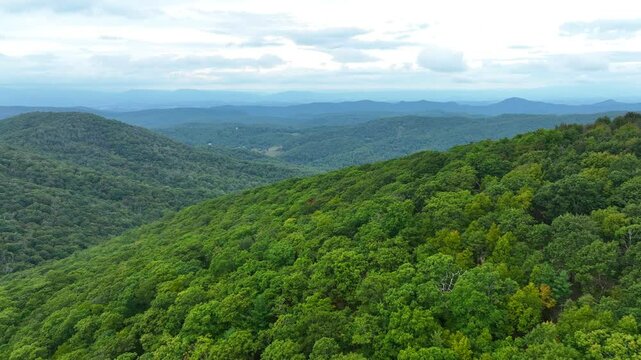 Aerial flyover green Cole Mountain in Virginia during cloudy day, USA. Forest trees and woodland in american nature. Wide shot.