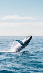 Fototapeta premium huge whale jumping out of water and falling on its back in the ocean, Generative AI