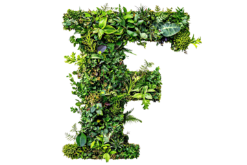 Botanical Letter F with Green Leaves and Foliage, Nature-Inspired Typography and Eco-Friendly Design on Transparent Background, Perfect for Environmental Themes