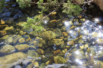 water reflection of sun light and river pebbles shining