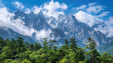Fototapeta premium A scenic view of a mountain range with trees in the foreground, perfect for use in outdoor or nature-themed projects