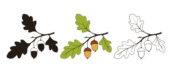 Oak branch with leaves and acorns, icon set  drawing, lineart contour and silhouette. Isolated on white background.