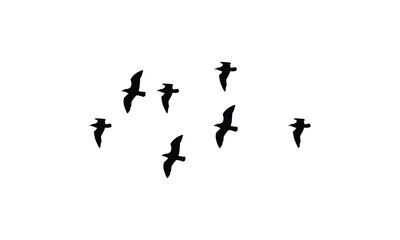 Flying Birds Vector Illustration Collection. 