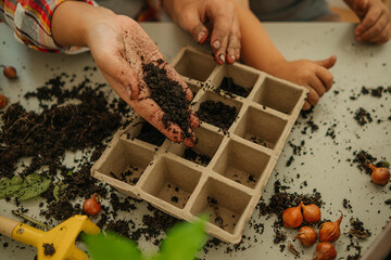 Hand of woman filling soil in seedling tray