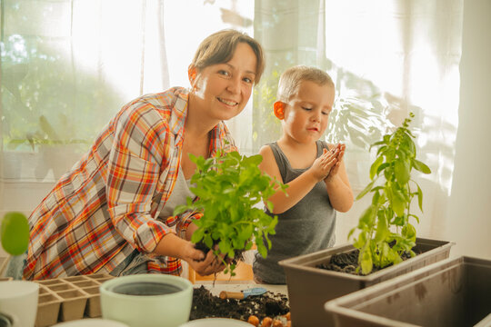 Smiling mother holding mint plant and gardening with son at home