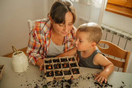 Mother and son planting onions in seedling tray at home