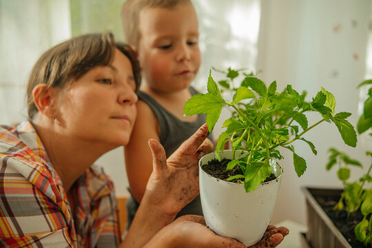 Woman holding potted mint plant with son at home